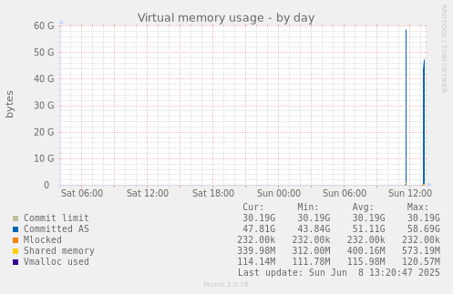 Virtual memory usage